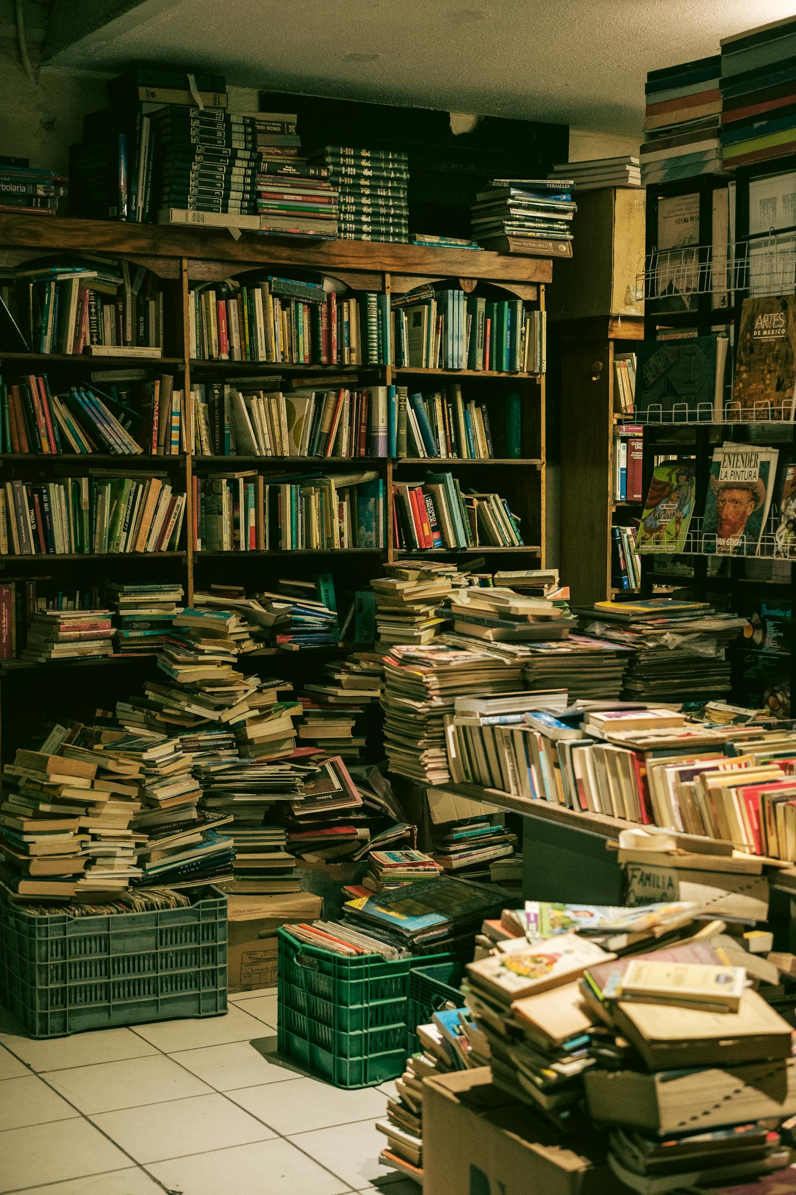 Books arranged on brown wooden shelves in a bookshop
